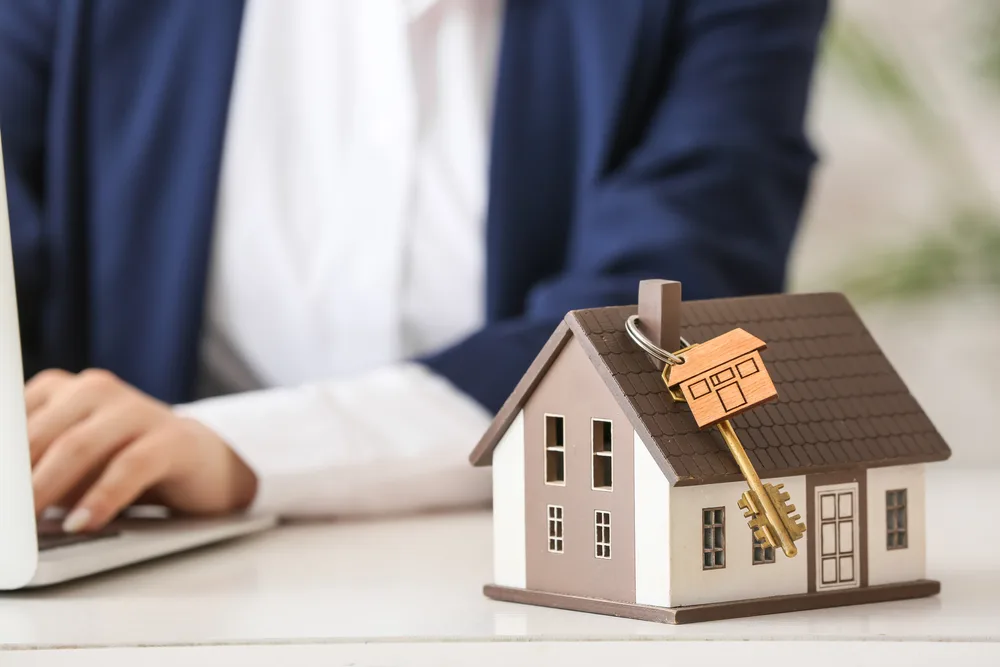 Read more about the article House Sitting Security